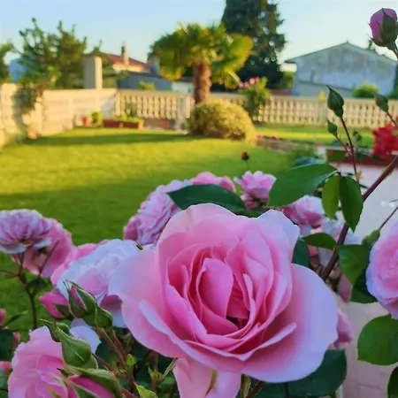 Romantic Anna In The Center Of Krk 公寓 克尔克
